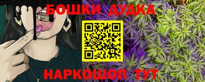 индика Канаш